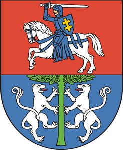 lubartowmiasto